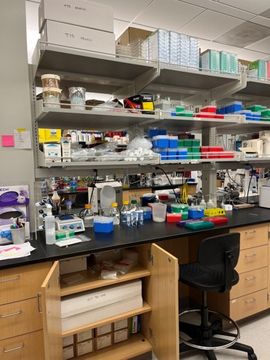 CMS Relocation & Logistics | Laboratory Relocation & Logistics